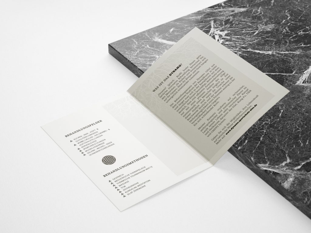 Flyer Design Flyer Design DYNAMO