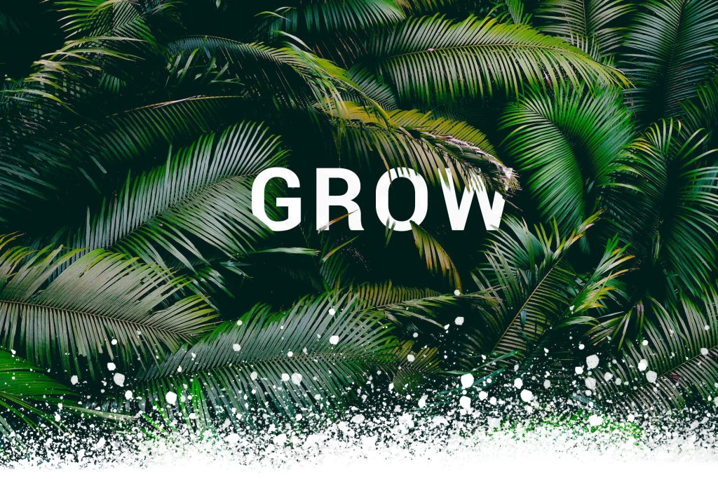 Webdesign macht erfolgreich