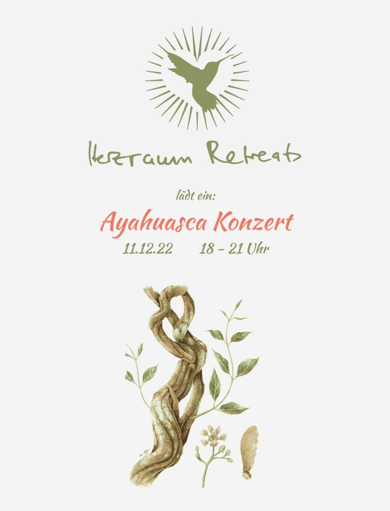 Herzraum-Retreats Ayahuasca Konzert 2022_bild Flyer Design Köln