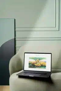 Laptop Artist Homepage Harmonische Wordpress website erstellen lassen