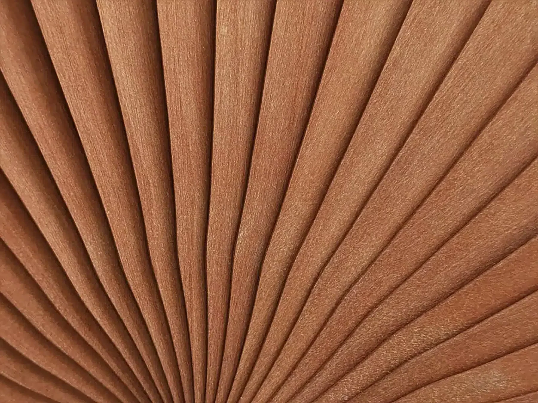 aesthetisches Markendesign 2 e1765201955154 -Design