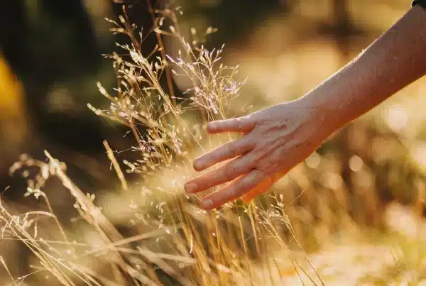 Webdesign für spirituelle Mentorin – Bildwelt in der Natur, Website Simone Bastian