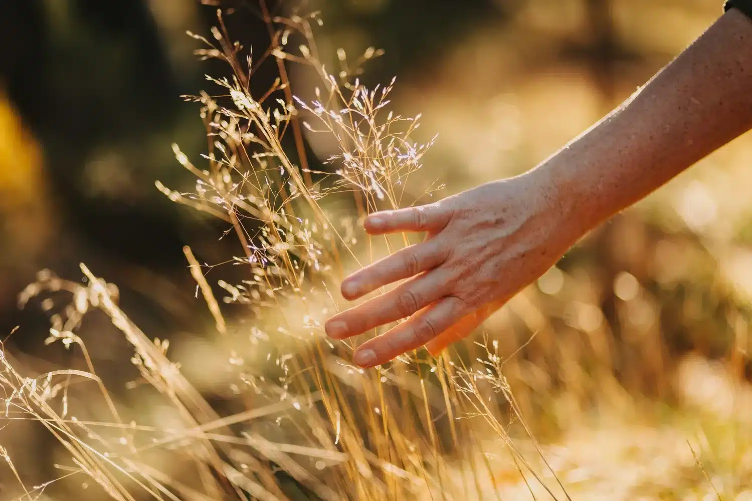 Webdesign für spirituelle Mentorin – Bildwelt in der Natur, Website Simone Bastian